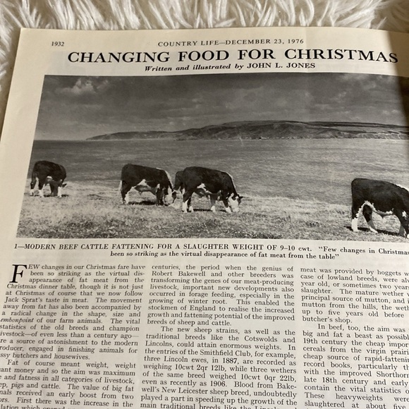 COUNTRY LIFE MAGAZINE CATS AT HOME IN CHURCH December 23, 1976 - Picture 13 of 13